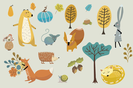 Set of autumn plants, trees, leaves, twigs, pumpkin, maple leaf, acorns, forest animals, for decorating autumn designs, invitations, Thanksgiving day, hello autumn cards, fall designes.
