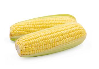 Corn isolated on white background with clipping path