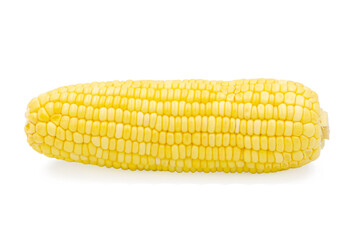 Corn isolated on white background with clipping path