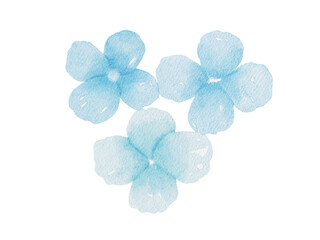 Blue Flowers Watercolor