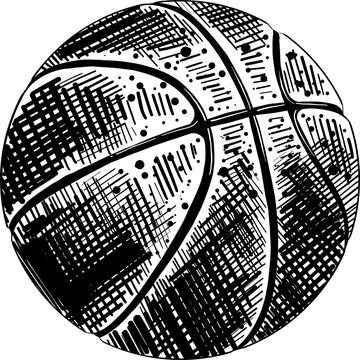 PNG engraved style illustration for posters, decoration and print. Hand drawn sketch of basketball ball in black isolated on white background. Detailed vintage etching style drawing.	
