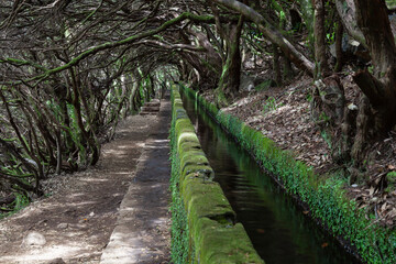 Obraz premium Rabacal, nature hiking area the Levada do Risco levada hiking trail, left a levada water pipe, Madeira, Portugal, Europe