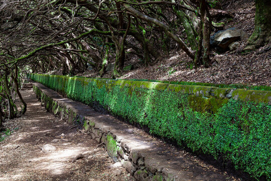 Rabacal, nature hiking area  the Levada do Risco  levada hiking trail,  left a levada water pipe,  Madeira,  Portugal,  Europe