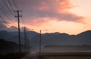 電柱と田んぼと夕焼け