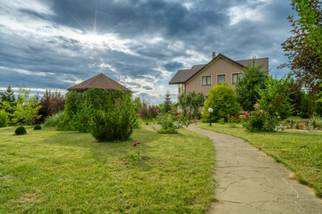 Plants and flowers in the garden of a country house summertime.