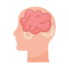 head with brain