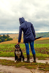 A woman walks her dog in a field after a thunderstorm. Girl with staffordshire terrier in nature on a cloudy day. The concept of freedom, happiness, friendship, nature.