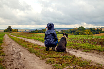 A woman walks her dog in a field after a thunderstorm. Girl with staffordshire terrier in nature on...
