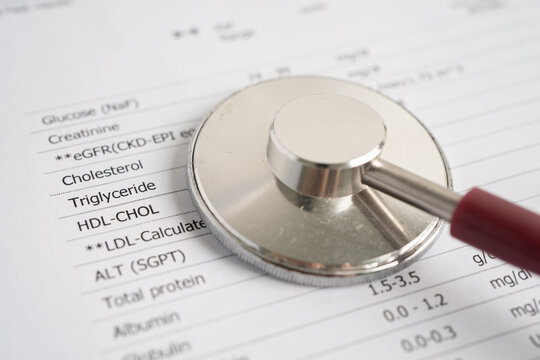 Diagnosis lab request form, Form the result of biochemistry blood test with stethoscope.