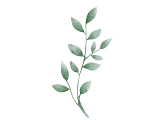 branch with leaves