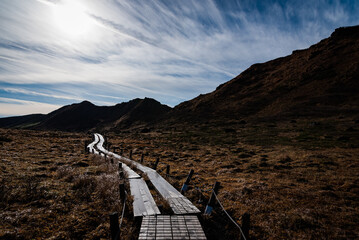 登山道、木道