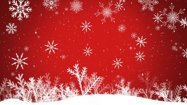 Animation of white christmas snow and snowflakes falling over plants on red background