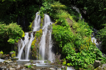 Doryu Waterfall and Mountain Stream at the foot of Mt. Yatsugatake, Yamanashi, Japan