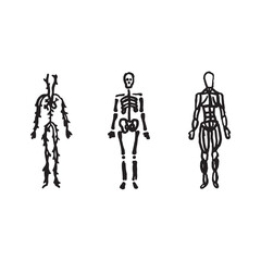 Body Anatomy Systems - Cardiovascular, Circulatory, Nervous, Skeletal, Muscular - Black White Icons