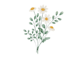 bouquet of flowers watercolor