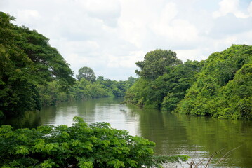 Fototapeta na wymiar River and forest : Nam Phong River, Khon kaen, Thailand