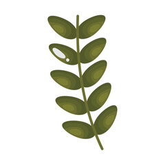 leaves branch icon