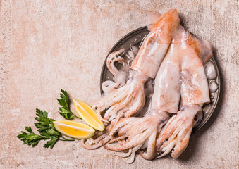 Fresh squids octopus or cuttlefish. Raw squids on plate copy space background, seafood raw squids...