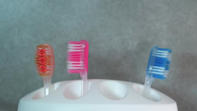 Soft focus dancing multi-colored toothbrushes in a white case appear in motion. Dental care. Healthy teeth concept. Brush your teeth in the bathroom. Take a toothbrush in hand.