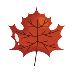 maple leaf icon