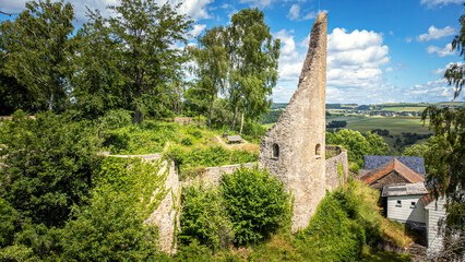 Burgruine mit Überresten des Turmes bewachsen mit grünen Pflanzen und Bäumen 