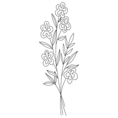 Wildflower floral Line art illustration