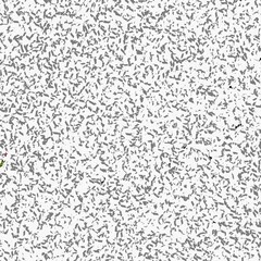 seamless pattern with flowers