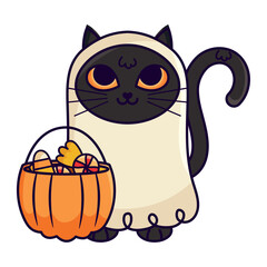 halloween ghost cat