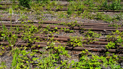 Stillgelegte Bahnschienen.