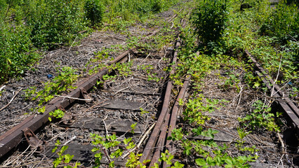 Stillgelegte Bahnschienen mit Weiche.
