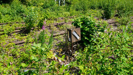 Stillgelegte Bahnschienen mit Signal.