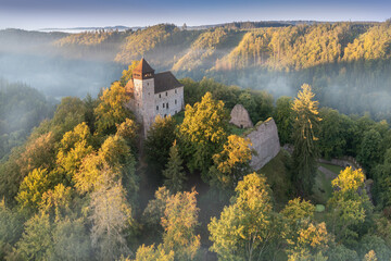 Historical castle Litice, Bohemia, Czech republic
Magical sunrise in the forest. Fantasy woodland...