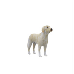 Fototapeta premium Labrador dog