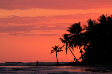 Obraz na płótnie Canvas sunset silhouette