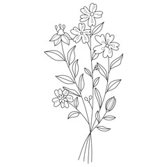 Wildflower floral Line art illustration