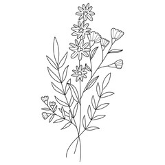 Fototapeta na wymiar Wildflower floral Line art illustration
