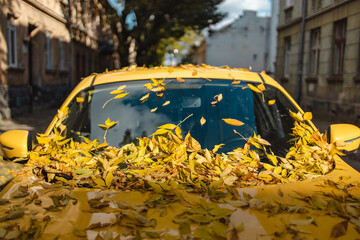 Sun shines over the fallen colorful leaves on the yellow car hood in an old town
