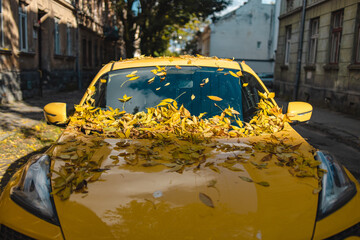 A wide shot of a yellow car hood with yellow fallen leaves in autumn 