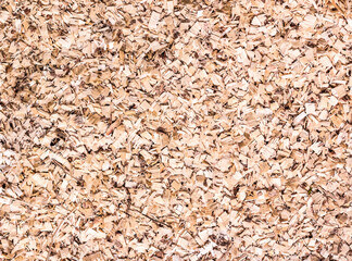 Dry wood shavings background. Wood dust texture. texture. Top view. Sawdust close up . Wood industry concept. Eco energy design.