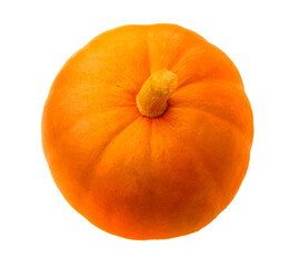 Pumpkin isolated on white background.