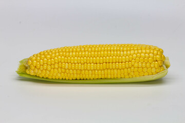 Single ear of corn isolated on white background. Isolated. Package design element. Sweet corn with husk. Close-up