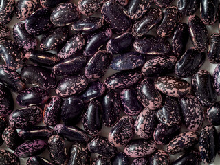 Blue purple scarlet runner beans. Organic food. Food background. Top view.