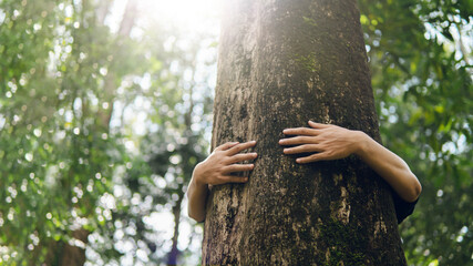 Nature lovers embrace big trees. green forest in the rainy season Concept of conservation of...