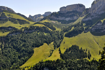 Swiss Alpine Valley