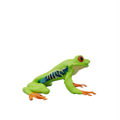 Red eyed tree frog