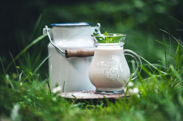 Milch wird eingeschüttet auf einer Wiese mit Gänseblümchen