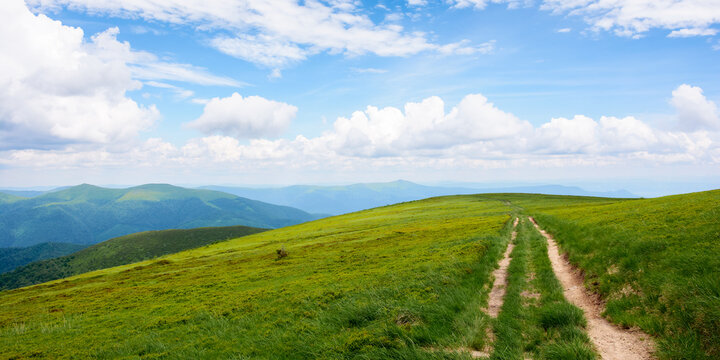 hiking trail through grassy hills. mountain scenery in summer. cumulus clouds on the blue sky above the distant ridge. explore ukrainian carpathians