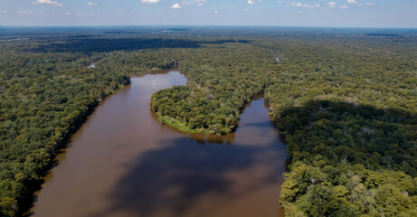 Louisiana Swamp bay and cypress tree forest with levee afternoon high angle landscape shot