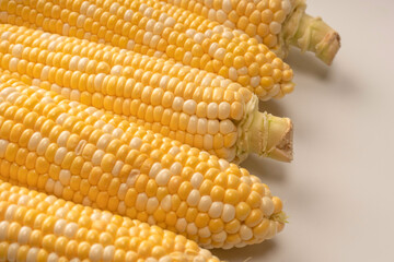 Yellow corn isolated on white background. Copyspace.