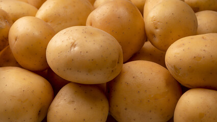 A group of fresh tasty potato as  background.